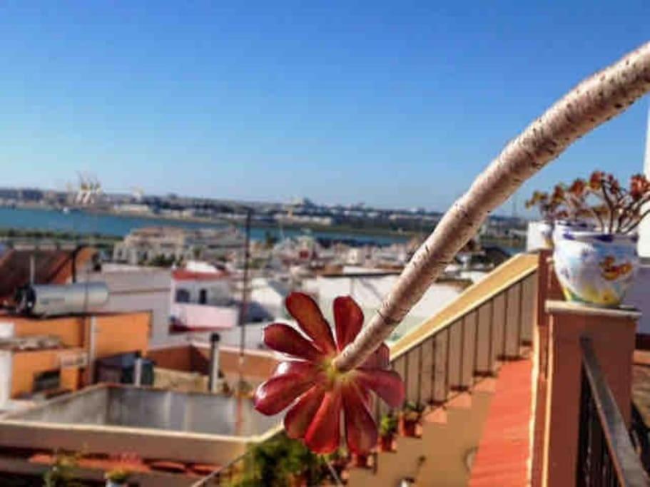 “Flor De Sal” Charming Traditional Andalusian House Аямонте Экстерьер фото